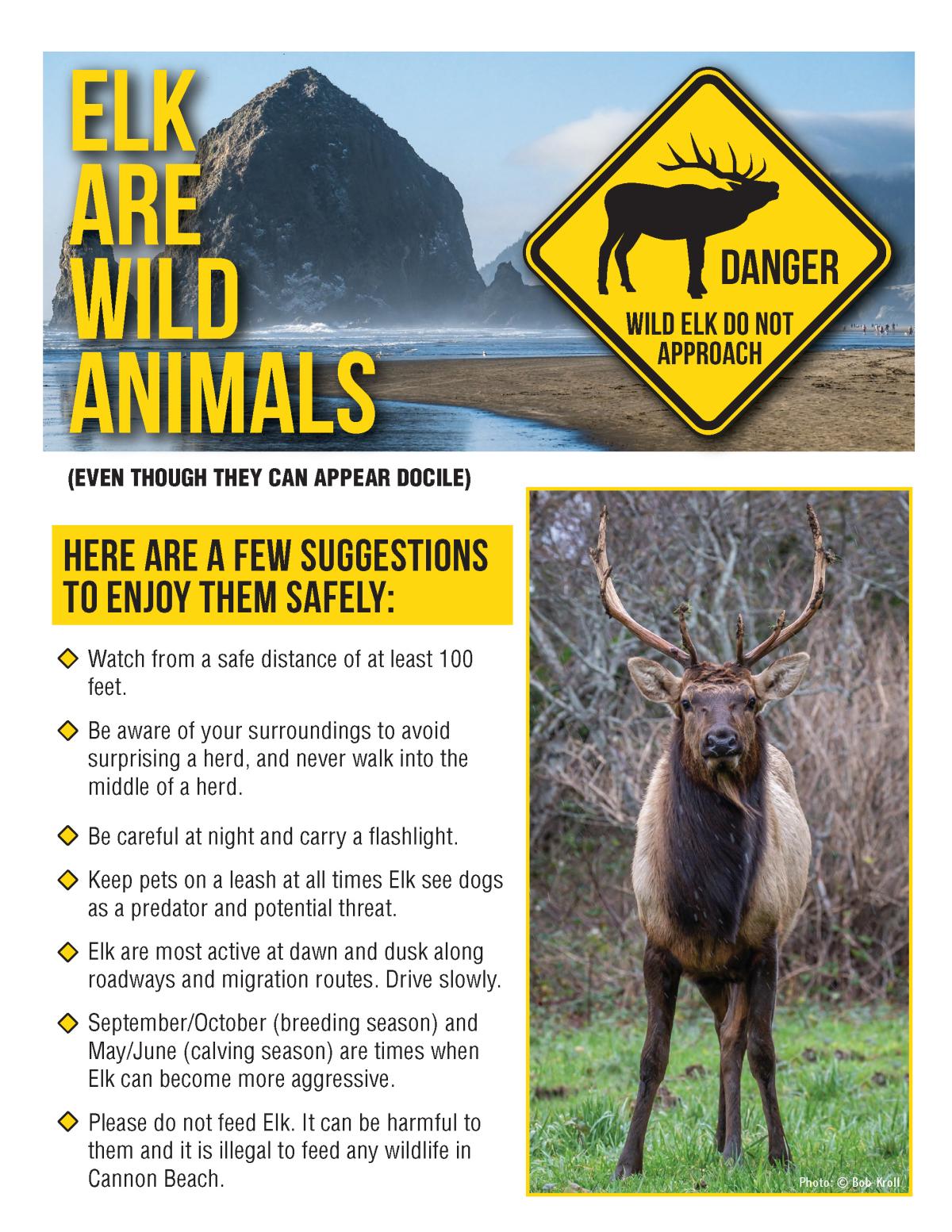 Elk safety flyer